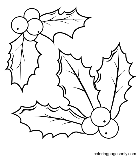 Christmas Holly Free Coloring Page