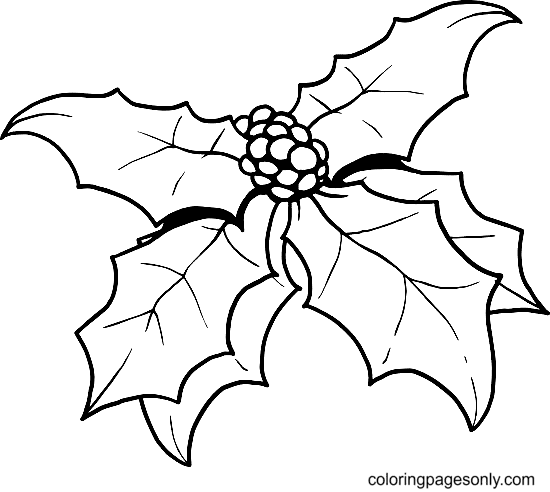Christmas Holly Leaves Coloring Page