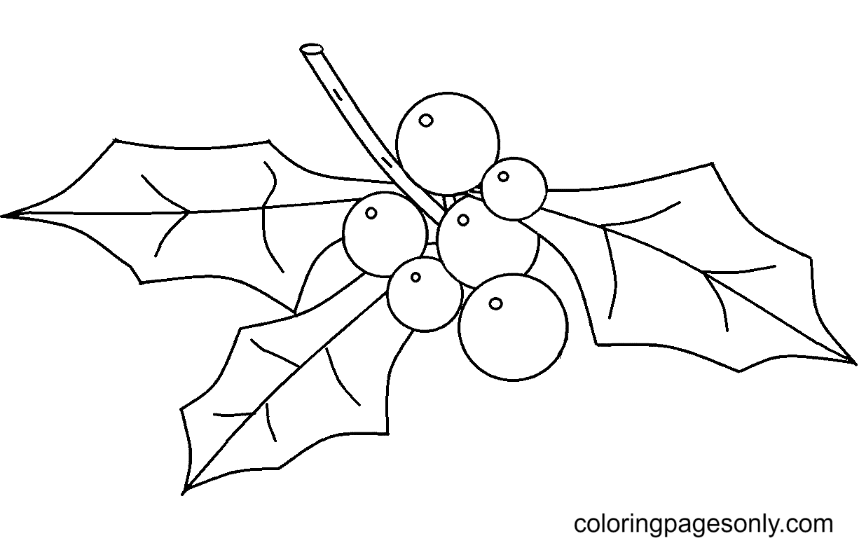 Christmas Ornament Holly Coloring Pages