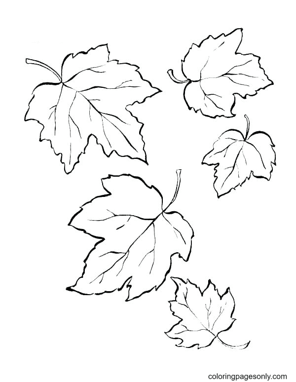 Color Fall Leaves Coloring Pages