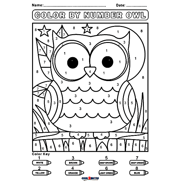 Color by Number Owl Coloring Pages