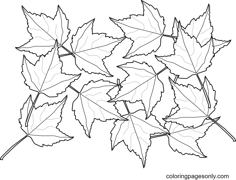 Красочные осенние листья раскраски страницу