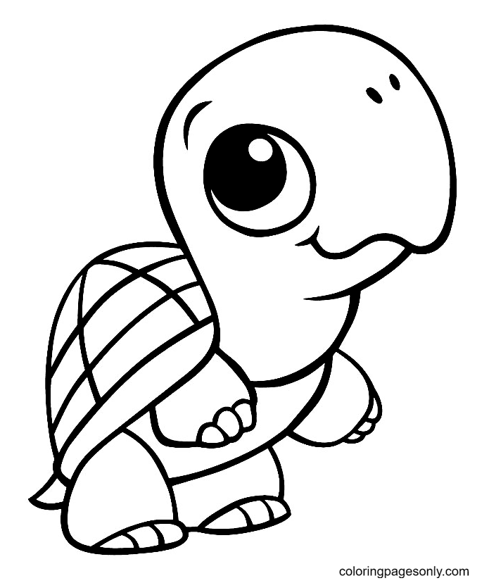 Página para colorir de tartaruga bebê fofo
