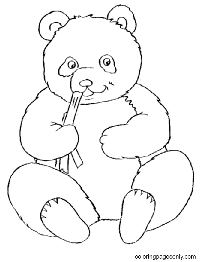 Cute Panda Bear Coloring Page