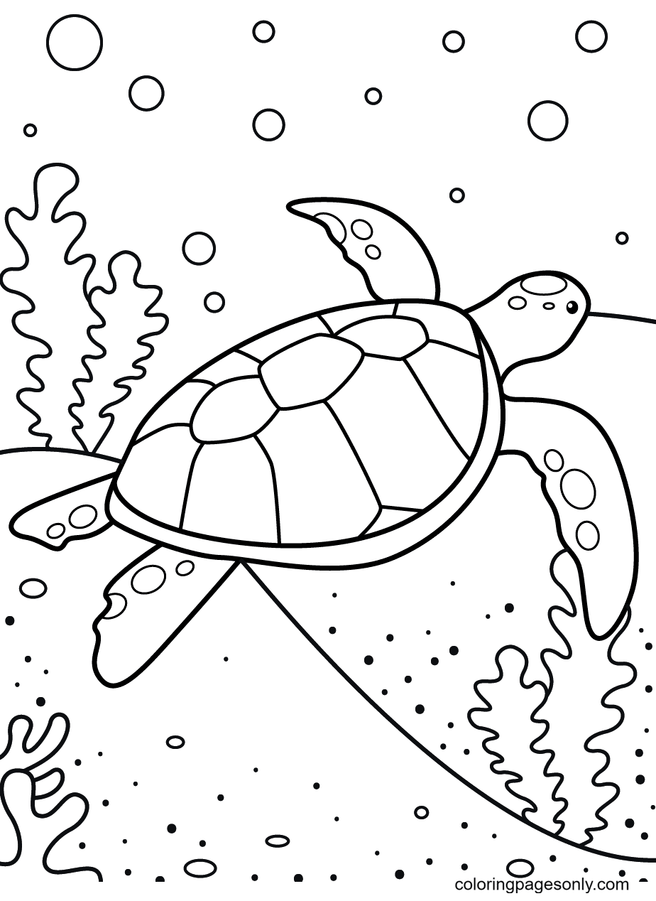 Морская черепаха раскраска для малышей