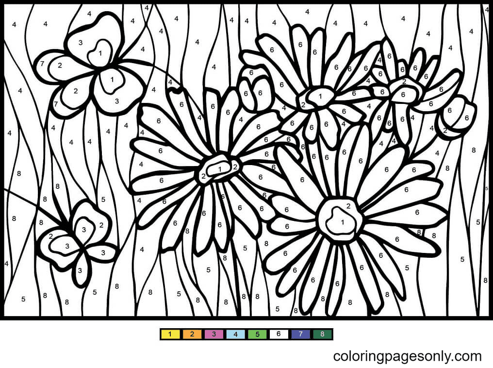 Daisy Color by Number Coloring Pages