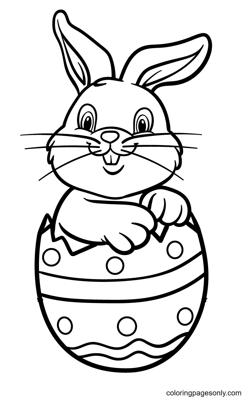 أرنب عيد الفصح ولد من بيضة من أرنب عيد الفصح