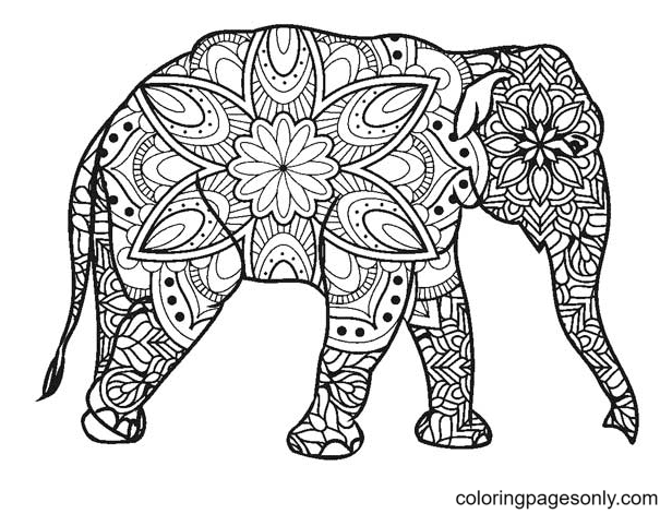 Взрослый слон из Elephant