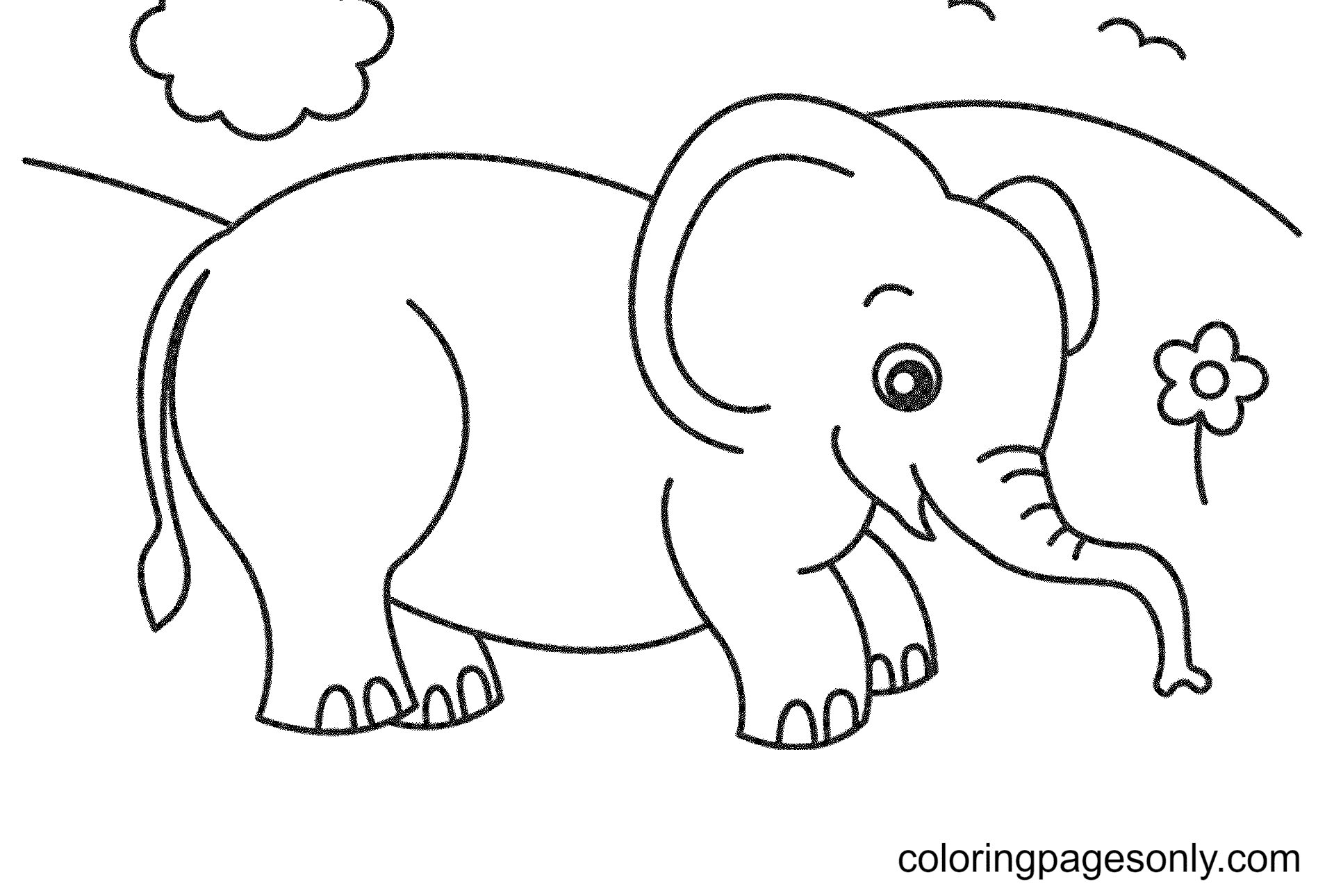 Elephant Animal Coloring Pages