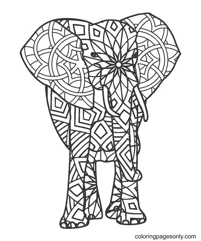 Elephant for Adults Coloring Page