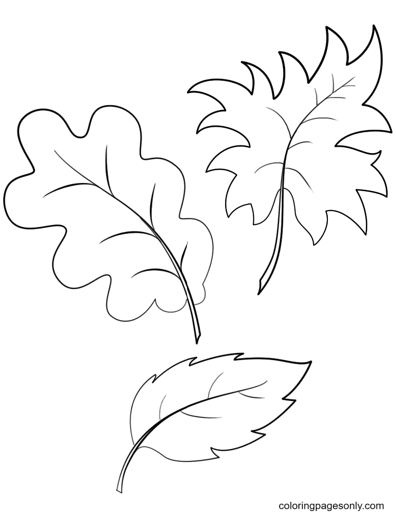 Fall Autumn Leaves Coloring Page