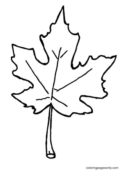 Fall Leaf Free Coloring Page