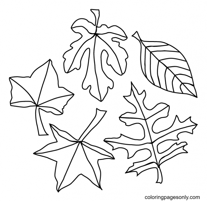 Fall Leaves Free Printable Coloring Page