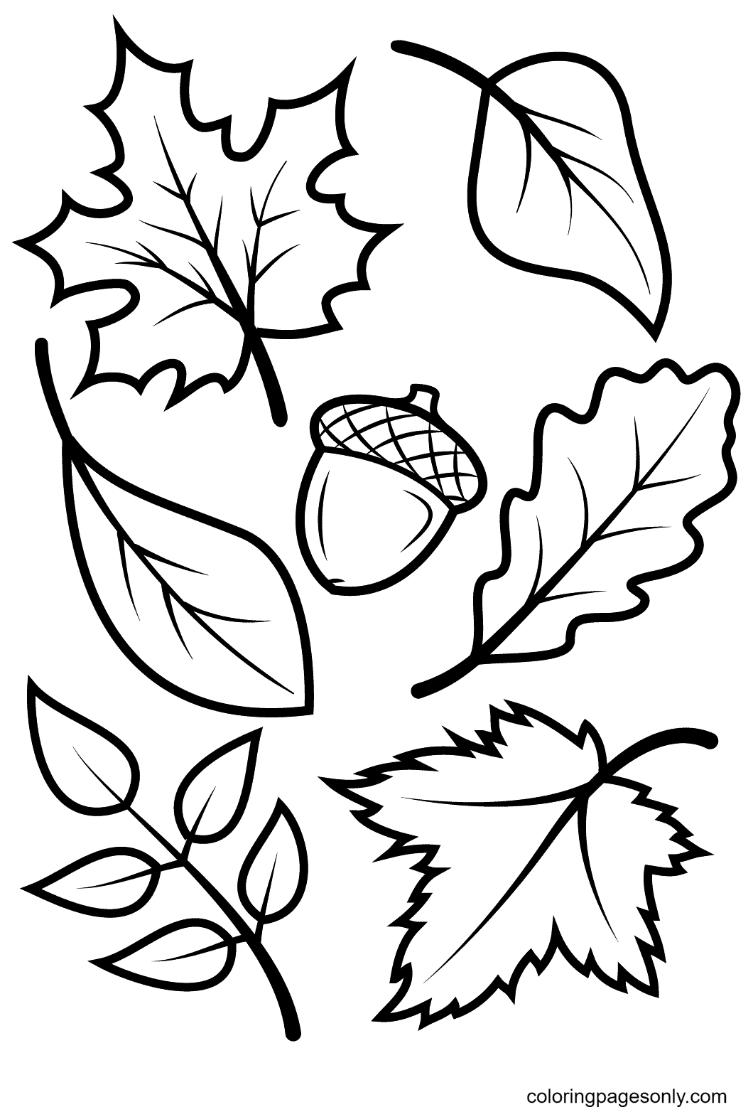 Herfstbladeren en eikel kleurplaat