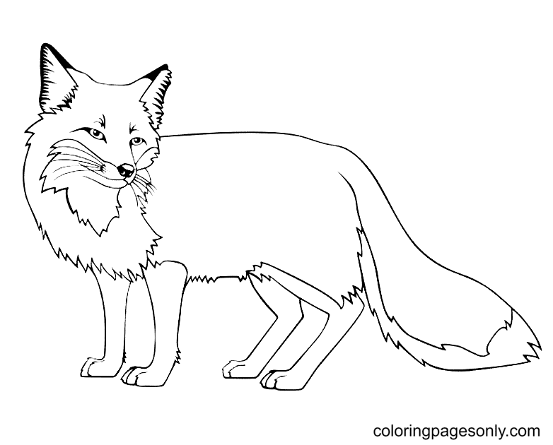 free-printable-fox-coloring-pages-fox-coloring-pages-coloring-pages