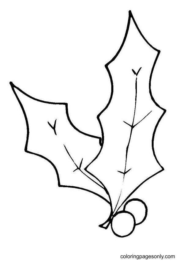 Free Printable Holly Coloring Pages