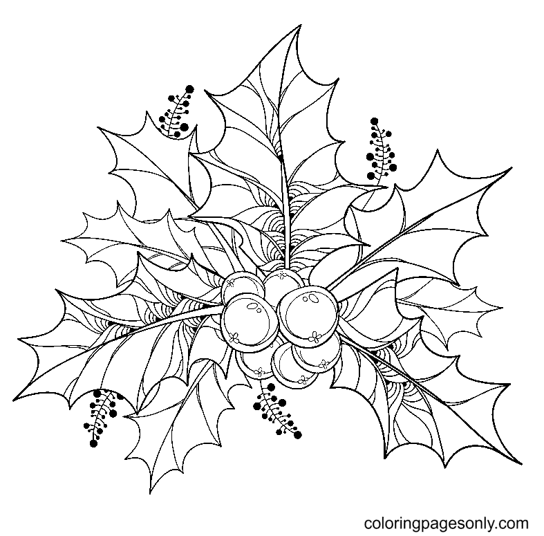 Free Printable Xmas Holly Coloring Pages