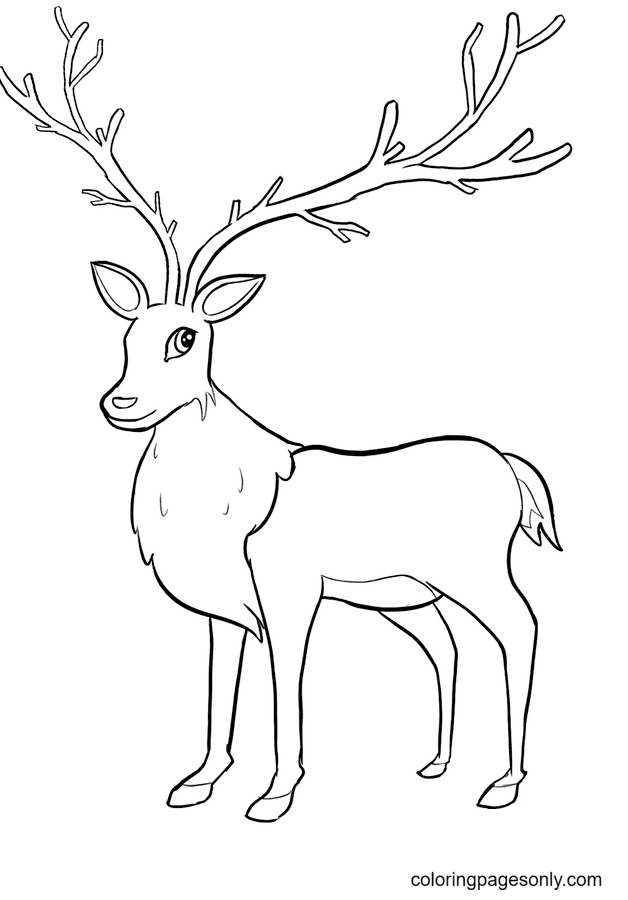 Free Reindeer Coloring Page