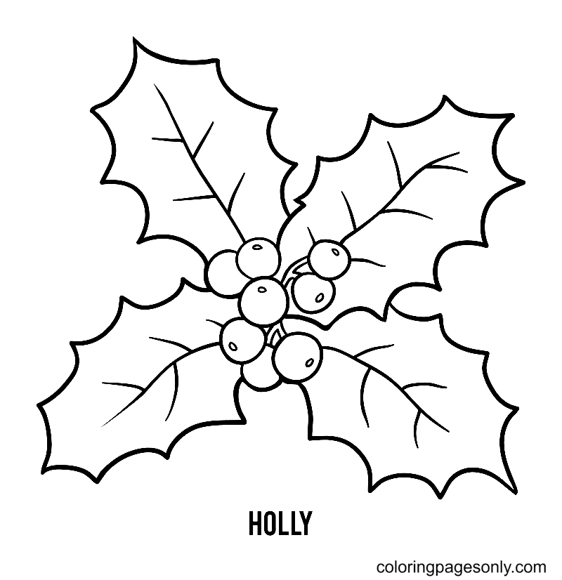 Free Xmas Holly Coloring Page