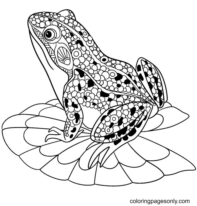 Frog On a Lilypad Coloring Page