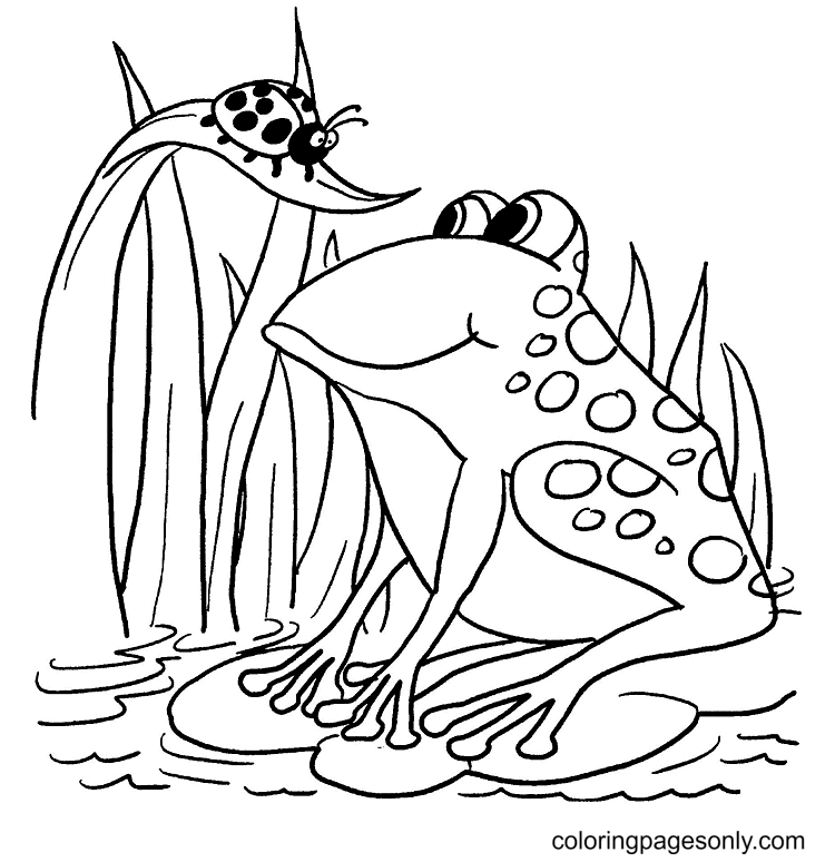 Frog and Ladybug Coloring Pages