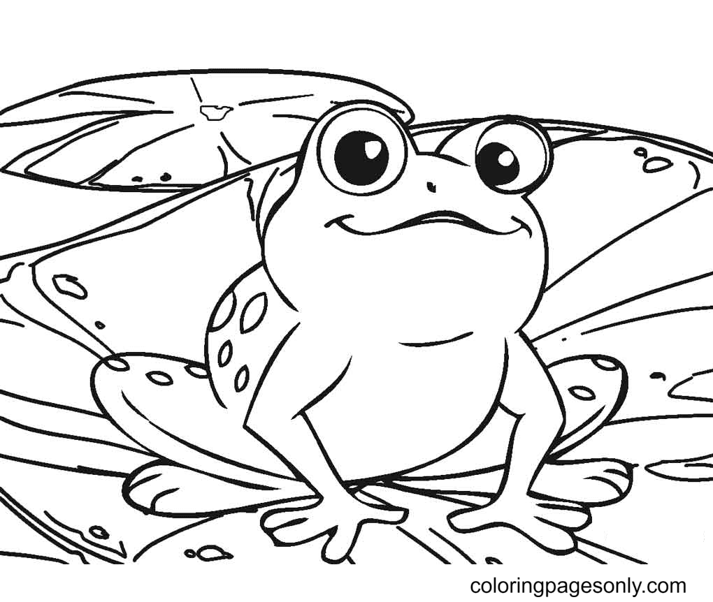 Frosch und Seerosenblatt von Frog