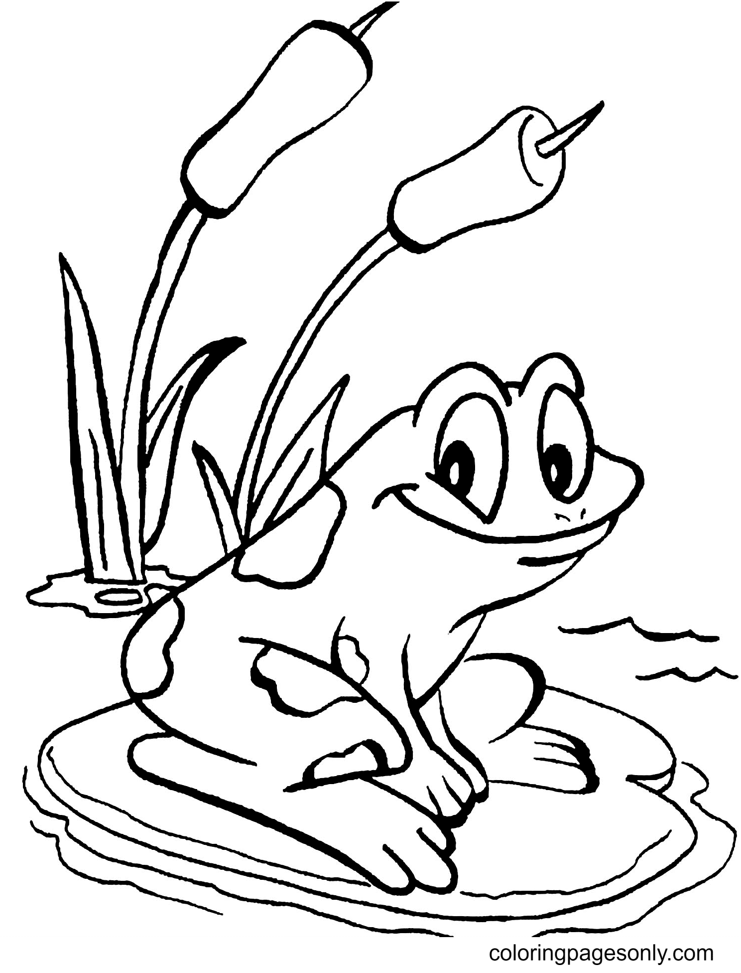 Frog to Download For Free Coloring Page
