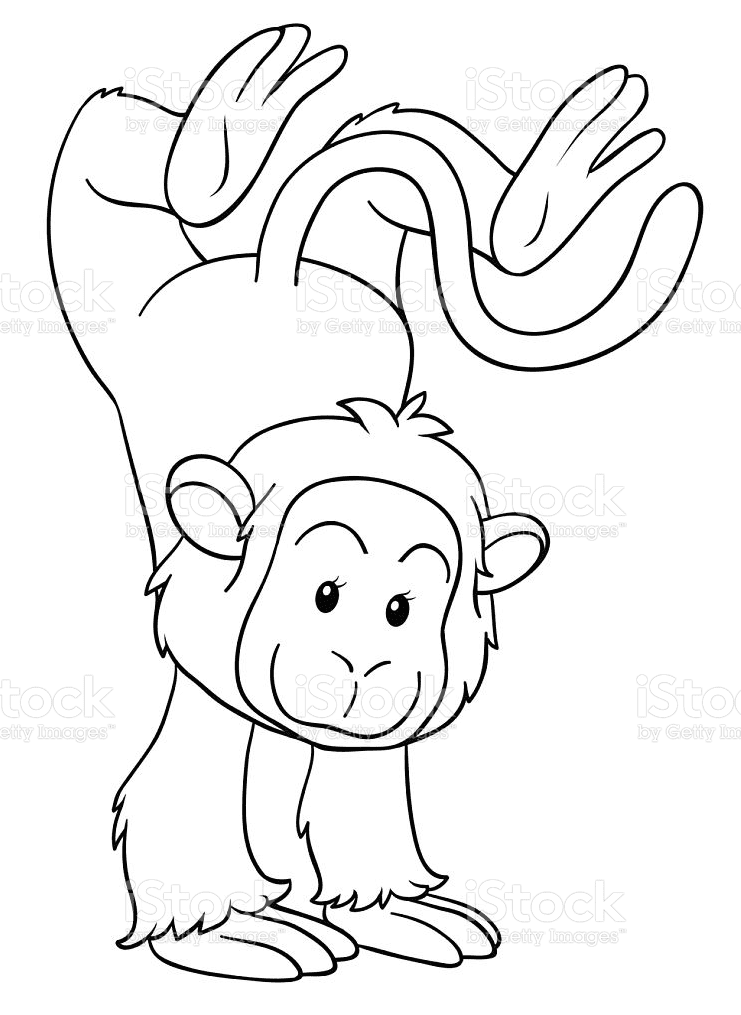 Funny Monkey Coloring Pages