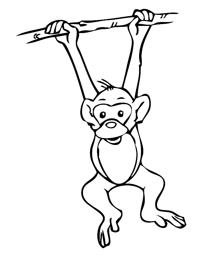 Desenho de Macaco-aranha pendurado para colorir