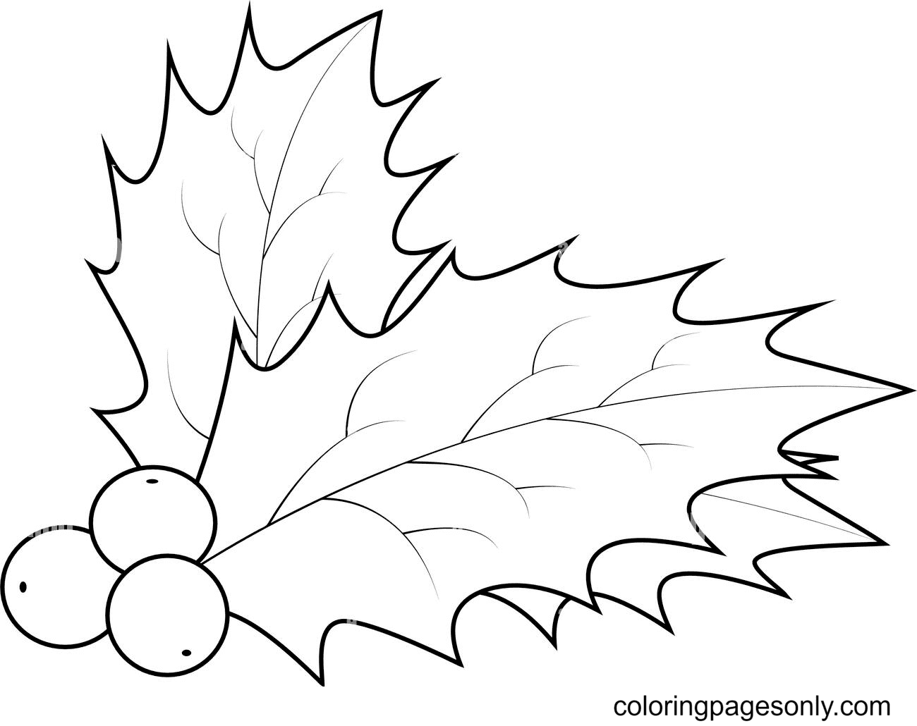 Holly Berry Christmas Coloring Page
