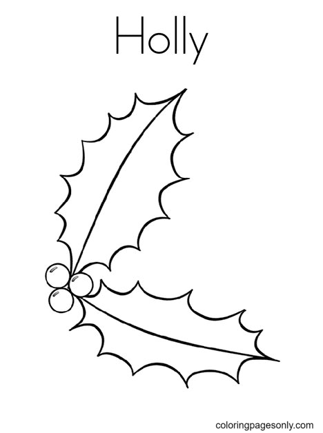 Holly Free Coloring Page