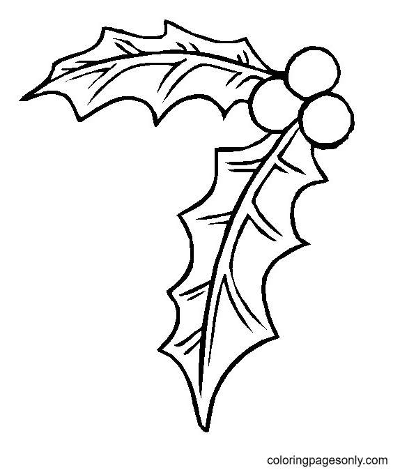 Holly Printable Coloring Pages