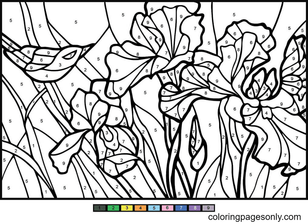 Colorear Iris por Números de Colorear por Números