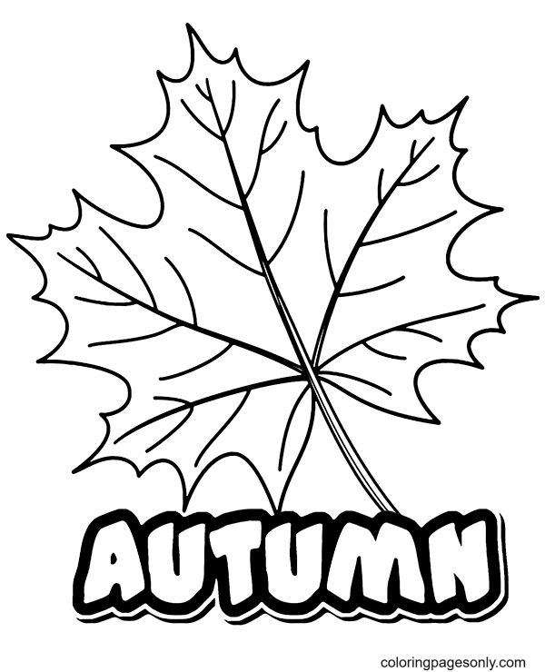 Leaf and Autumn Coloring Page
