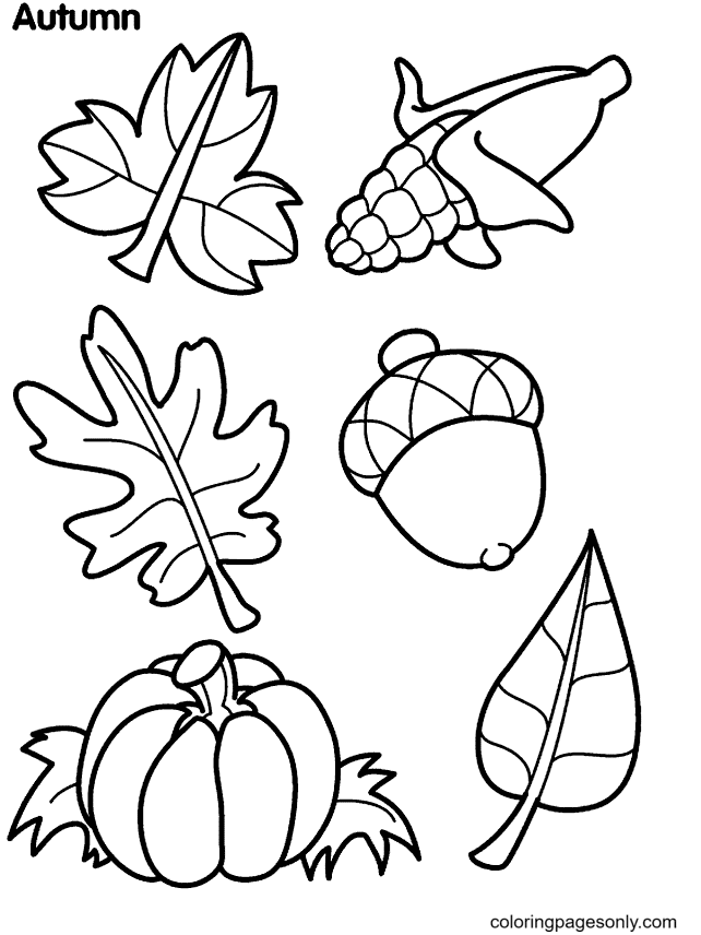 Leaves, acorn and corn Coloring Pages