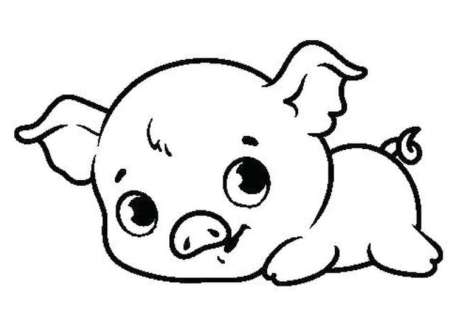 Lovely Baby Pig Coloring Page