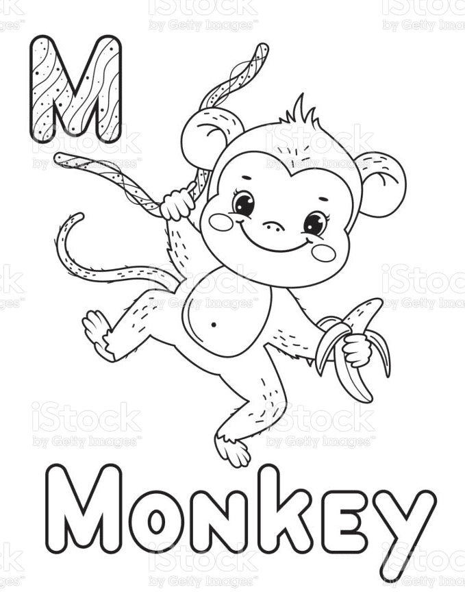 M Monkey from Monkey