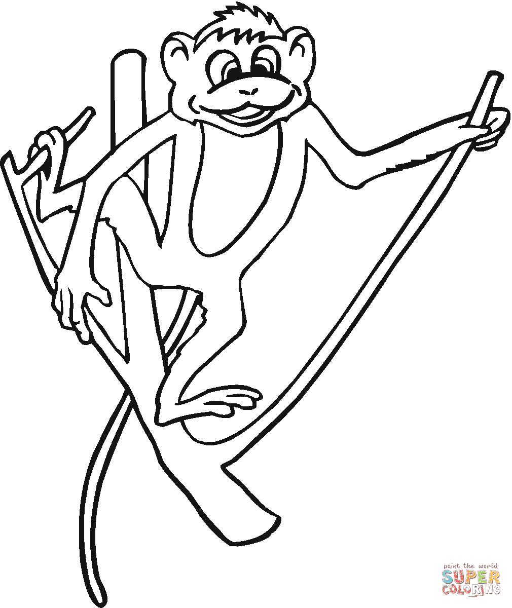 Monkey Holds The Branch Coloring Page