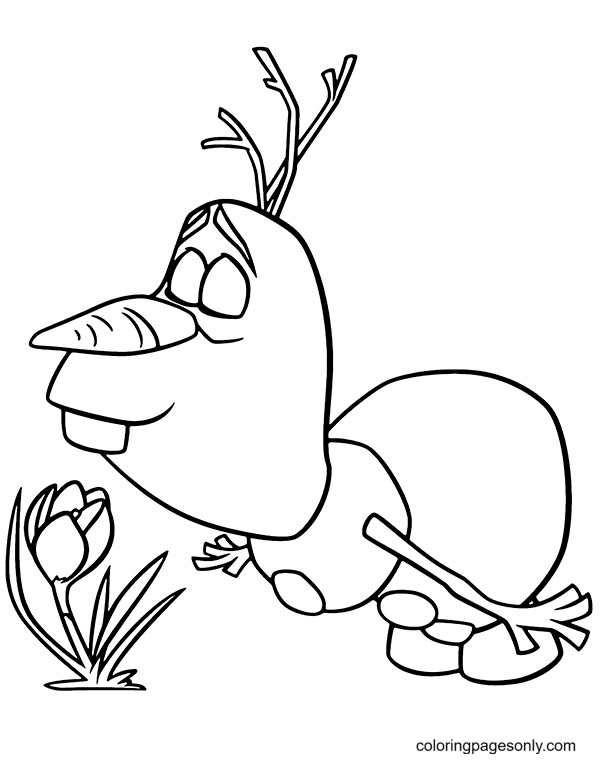 Olaf con flor de Olaf