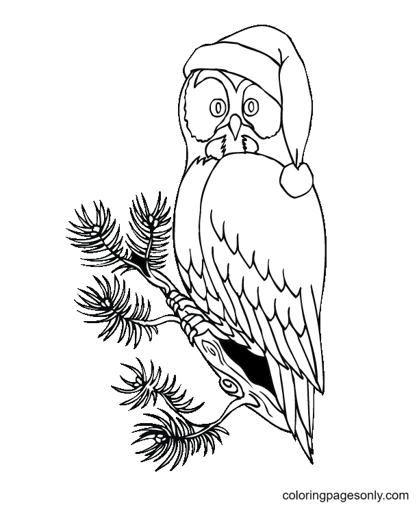 Owl Christmas Coloring Page
