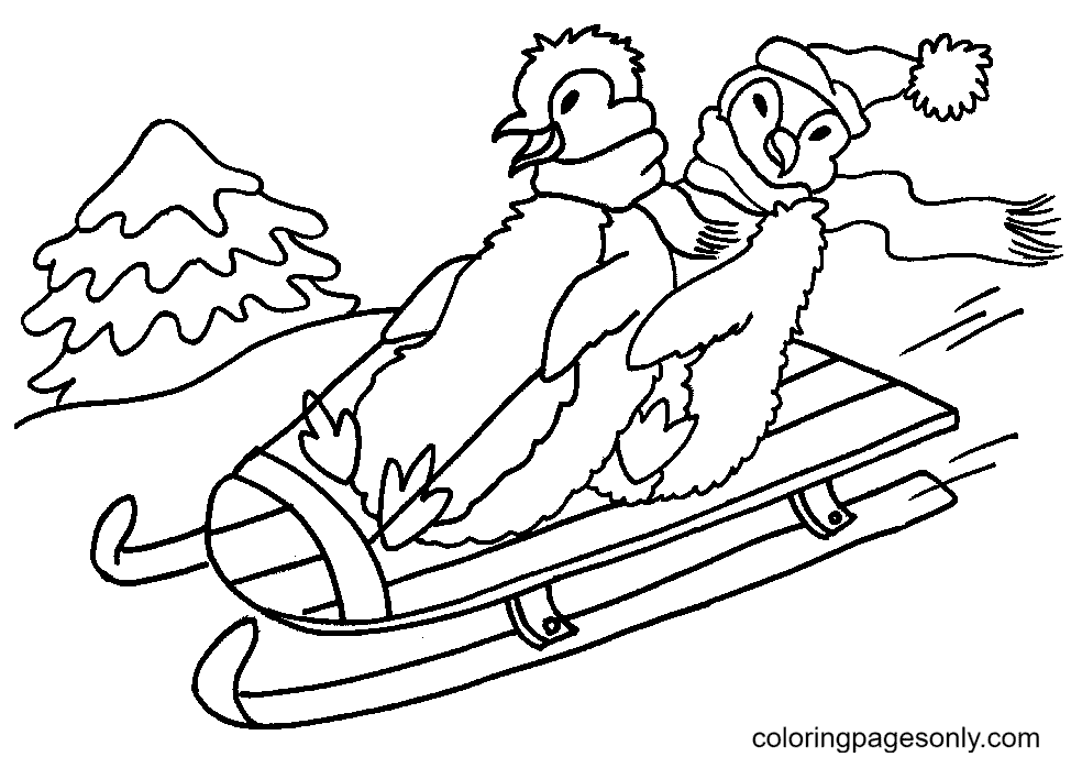 Penguin monte sur un traîneau de Penguin