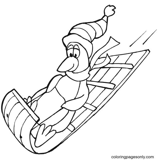 Penguin Sledding Coloring Pages