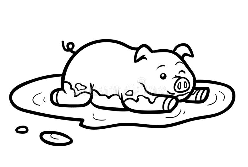 猪在猪的泥里打滚