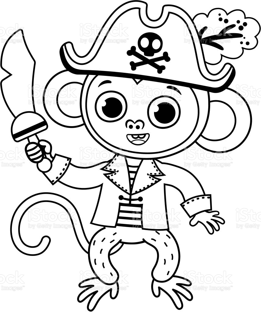 Piratenaap van Monkey