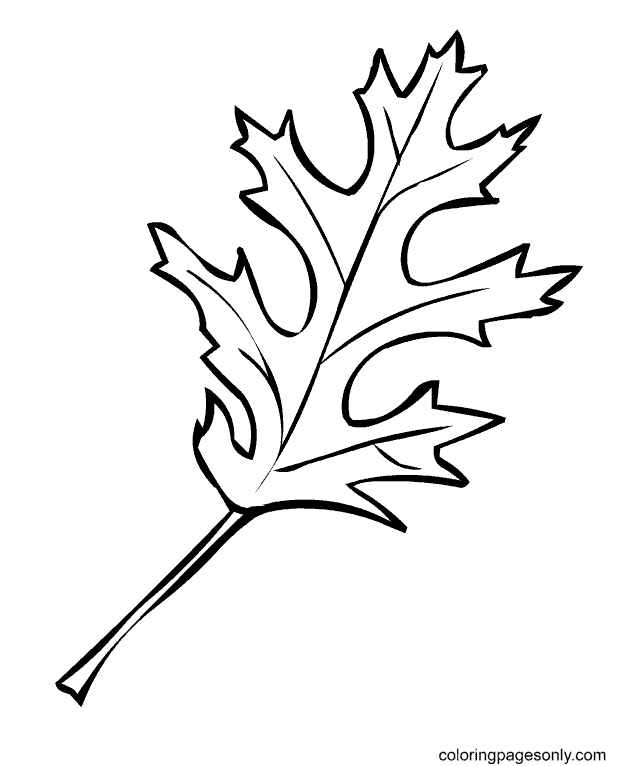 Print Fall Leaf Coloring Pages