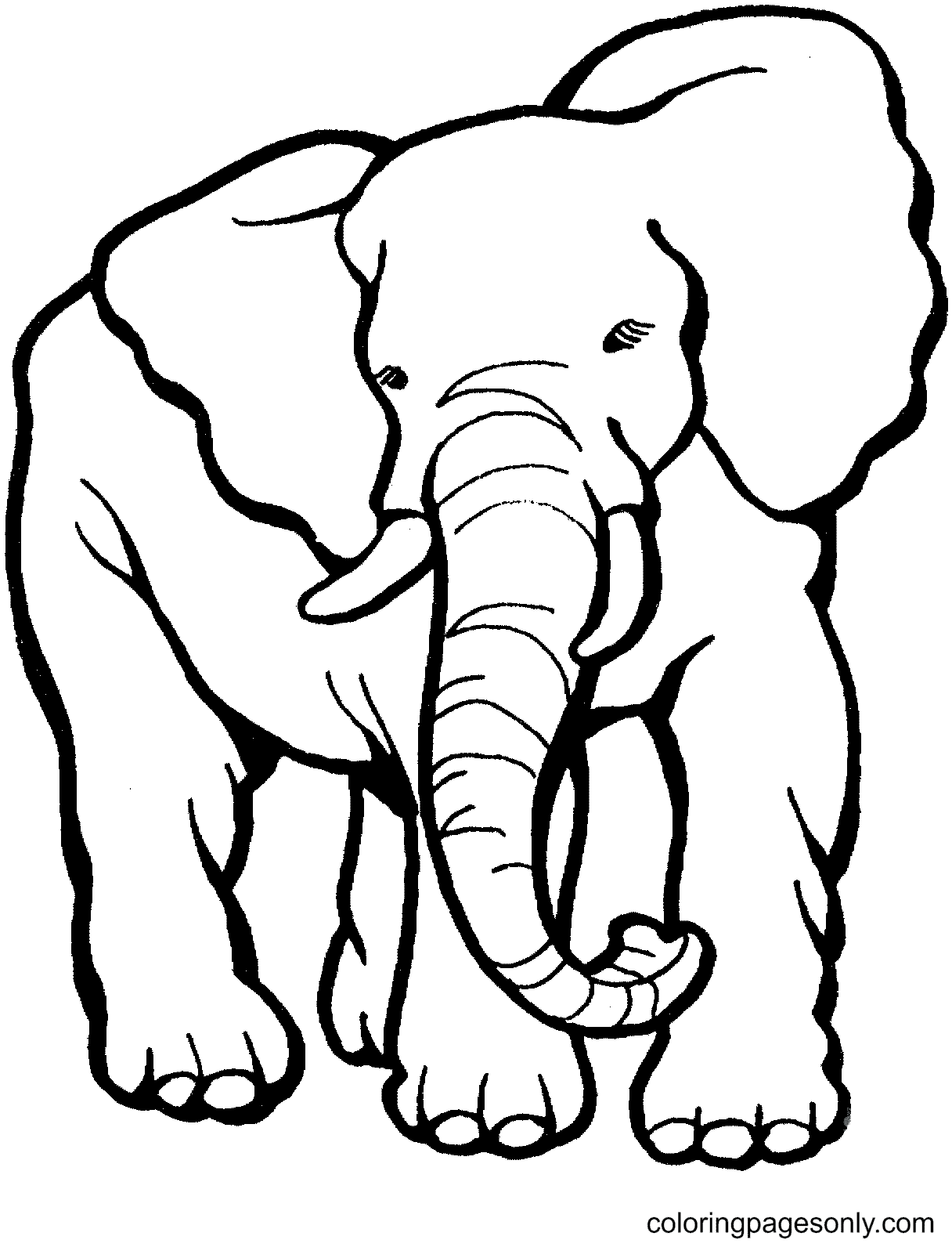 Afdrukbare olifant van Elephant