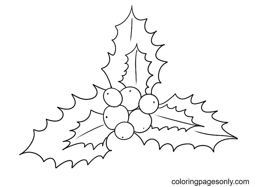 Printable Xmas Holly Coloring Pages