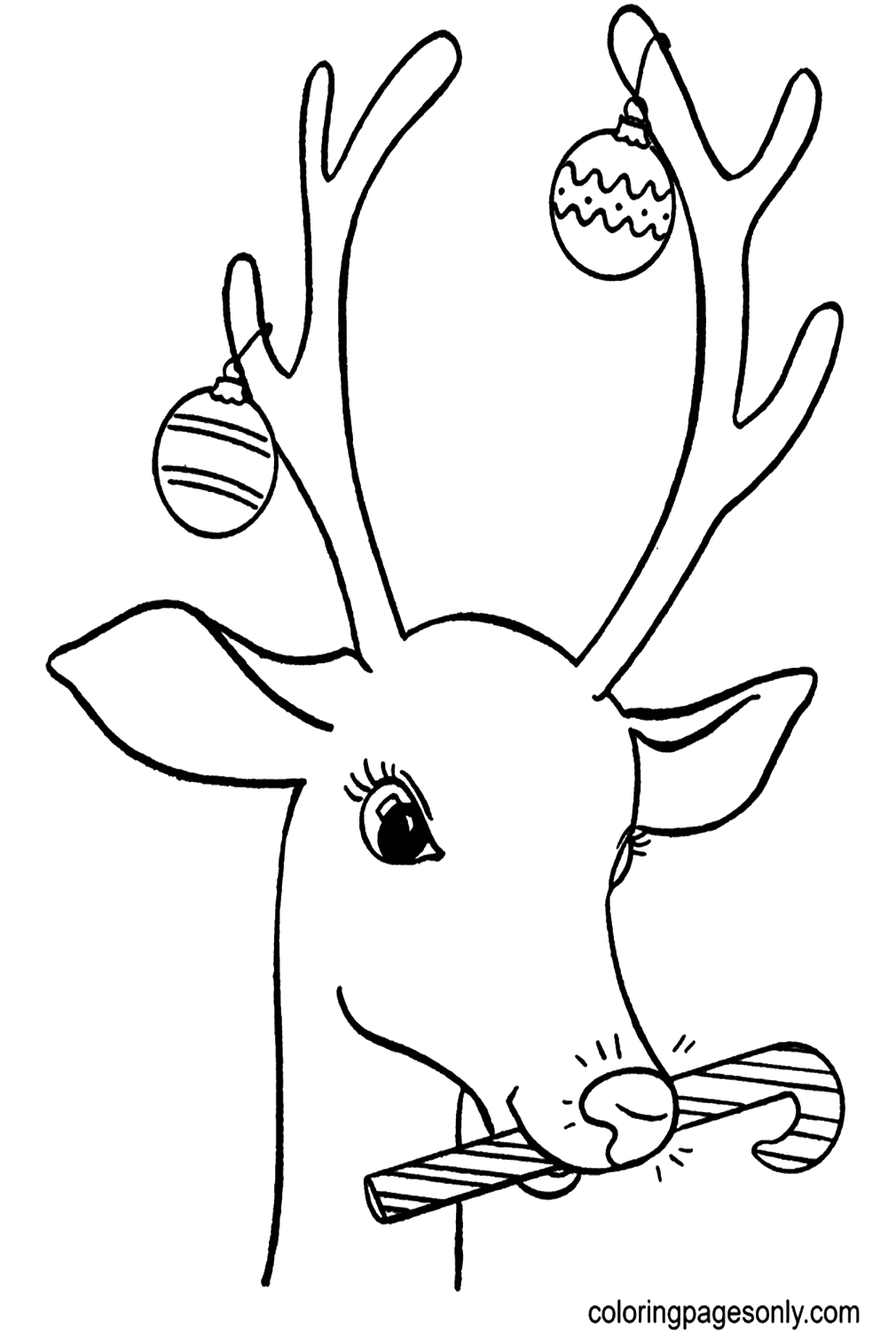 Renna con decorazioni natalizie di Reindeer