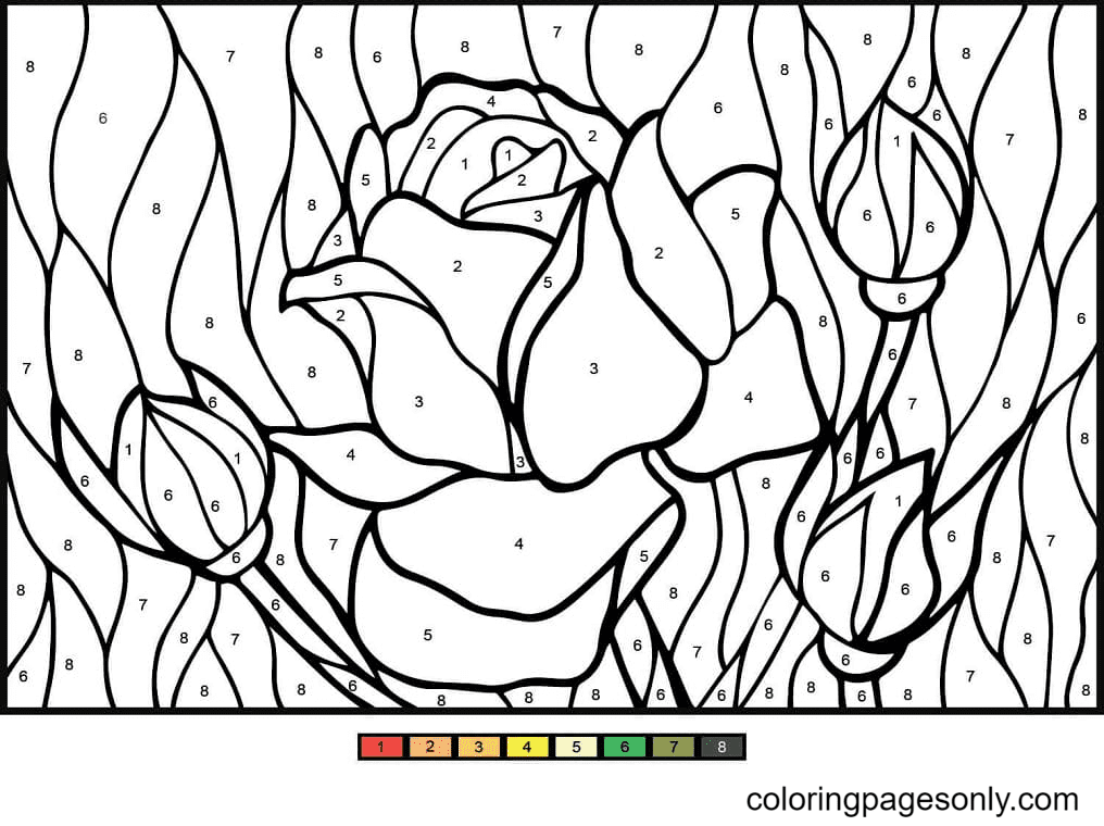 Раскраска розы по номерам из набора Раскраска по номерам
