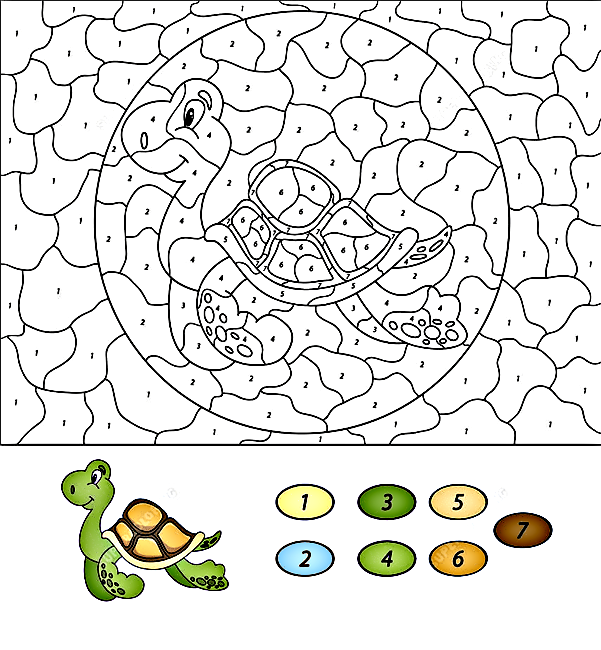 Sea Turtle Color by Number Coloring Pages